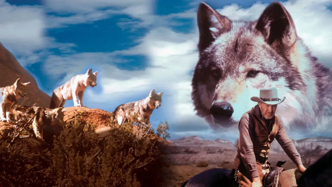 فیلم افسانه لوبو (The Legend of Lobo 1962)