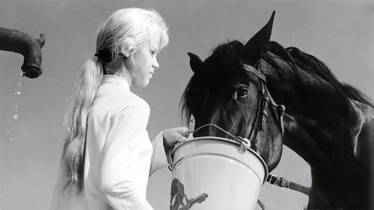 فیلم استرس جوانی (The Stress of Youth 1962)