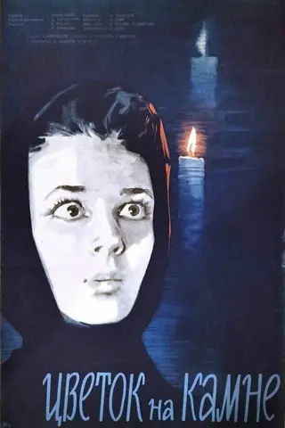 گل روی سنگ