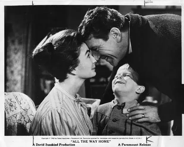 فیلم تمام راه تا خانه (All the Way Home 1963)