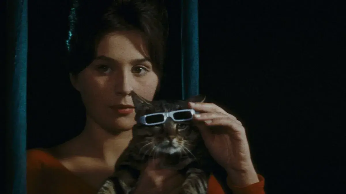 فیلم وقتی گربه می آید (When the Cat Comes 1963)