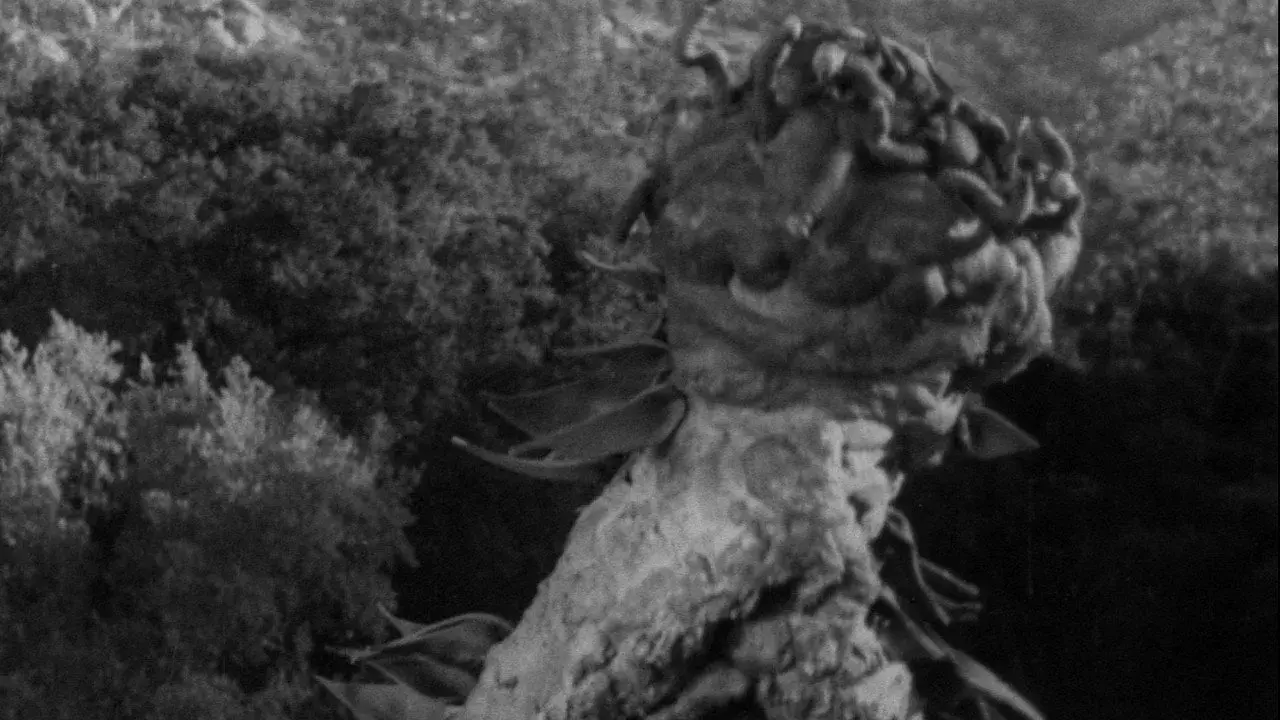 فیلم وحشت خزنده (The Creeping Terror 1964)