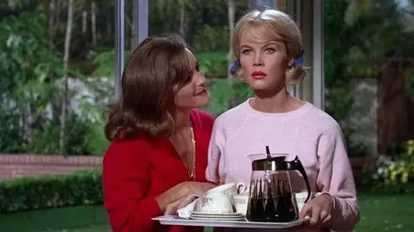 فیلم همسایه خوب سام (Good Neighbor Sam 1964)
