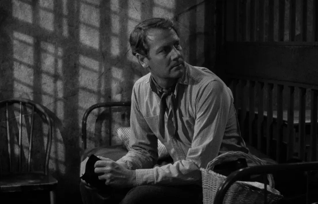 فیلم قلمرو کلرادو (Colorado Territory 1949)