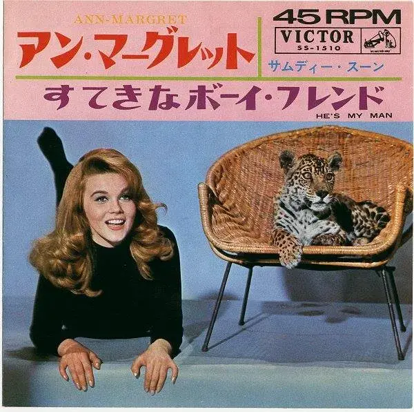 فیلم بچه گربه با شلاق (Kitten with a Whip 1964)