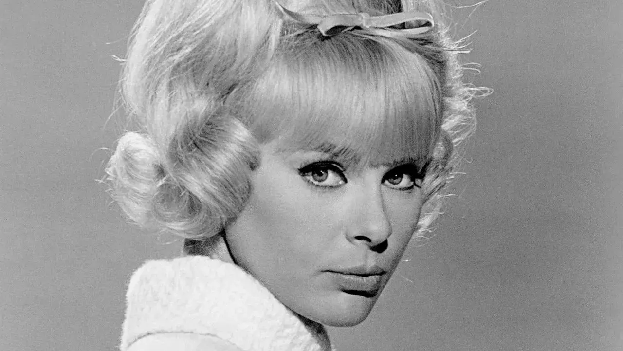 فیلم هنر عشق (The Art of Love 1965)