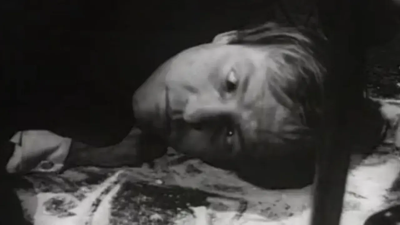 فیلم چاپاکوا (Chappaqua 1966)
