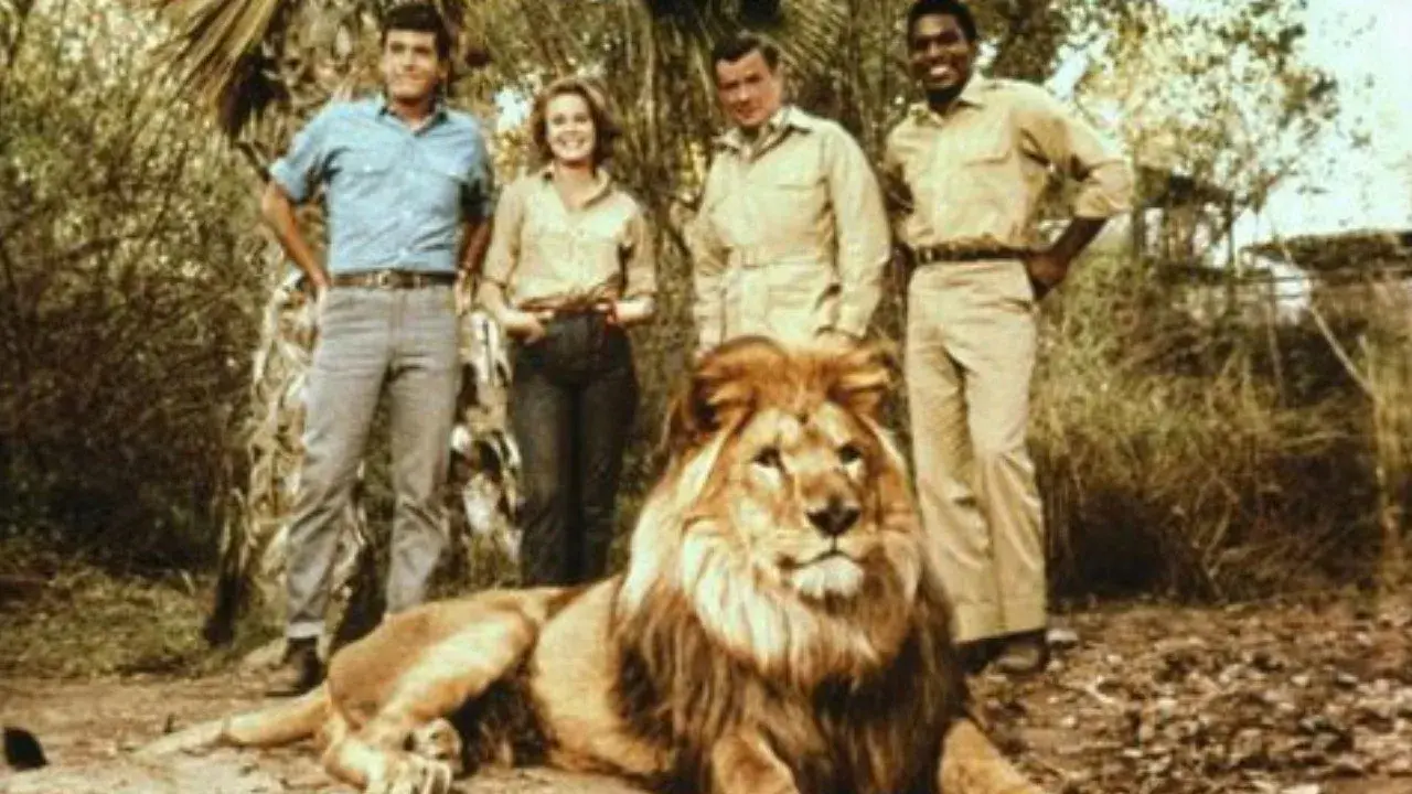 فیلم کلارنس، شیر چپ چشمی  (Clarence, the Cross-Eyed Lion 1965)