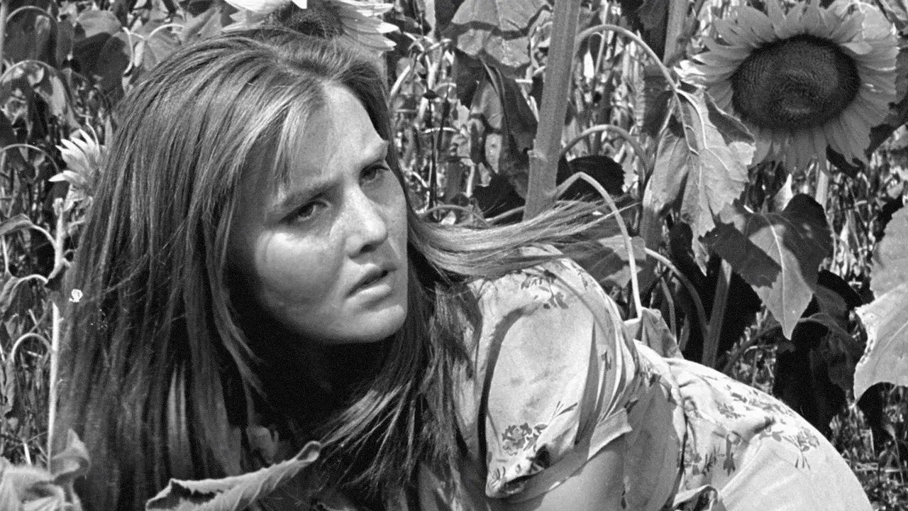 فیلم ایتالیایی ها، مردم خوبی هستند (Italiano brava gente 1964)