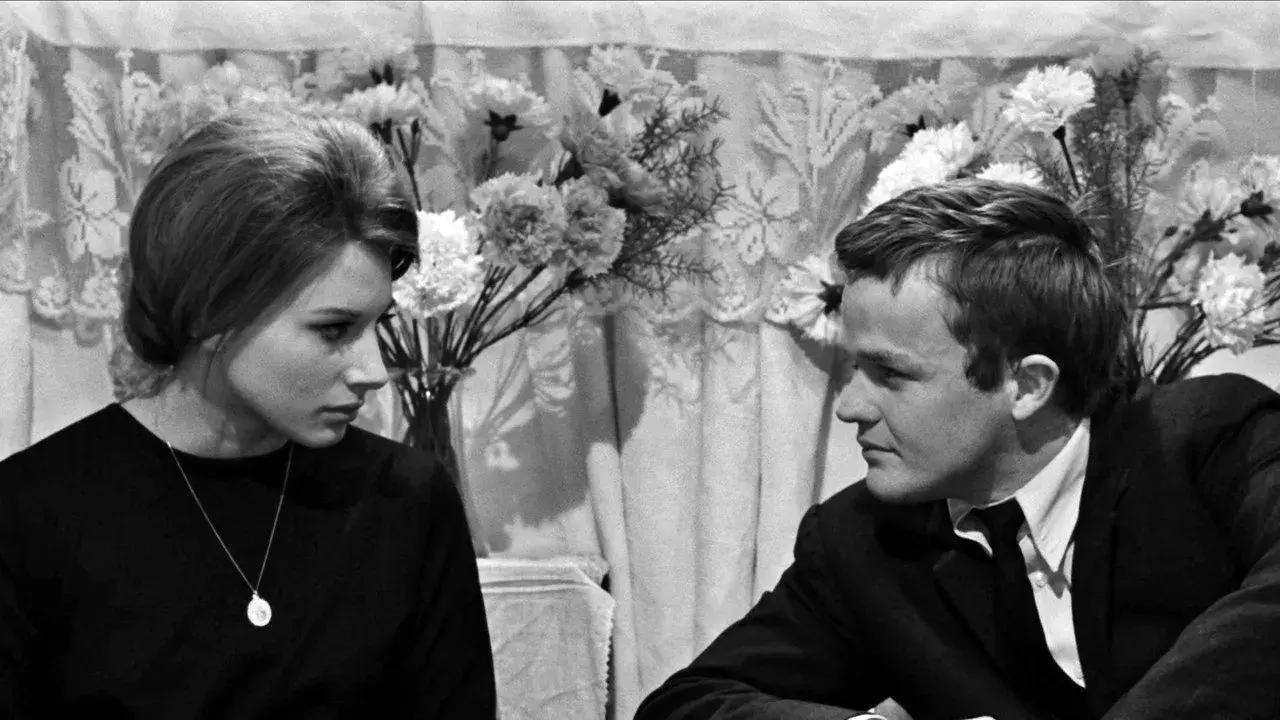 فیلم مشت ها در جیب (Fists in the Pocket 1965)