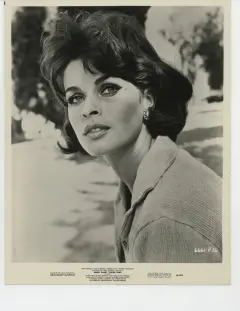 بنگ! بنگ! شما مردید! 1966