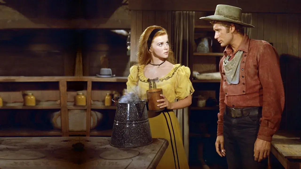 فیلم دلیجان (Stagecoach 1966)