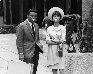 پنه لوپه 1966