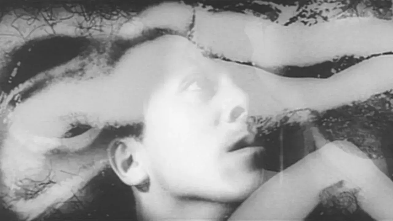 فیلم جنین در خفا شکار میکند (The Embryo Hunts in Secret 1966)