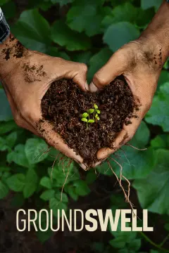 موج دگرگونی