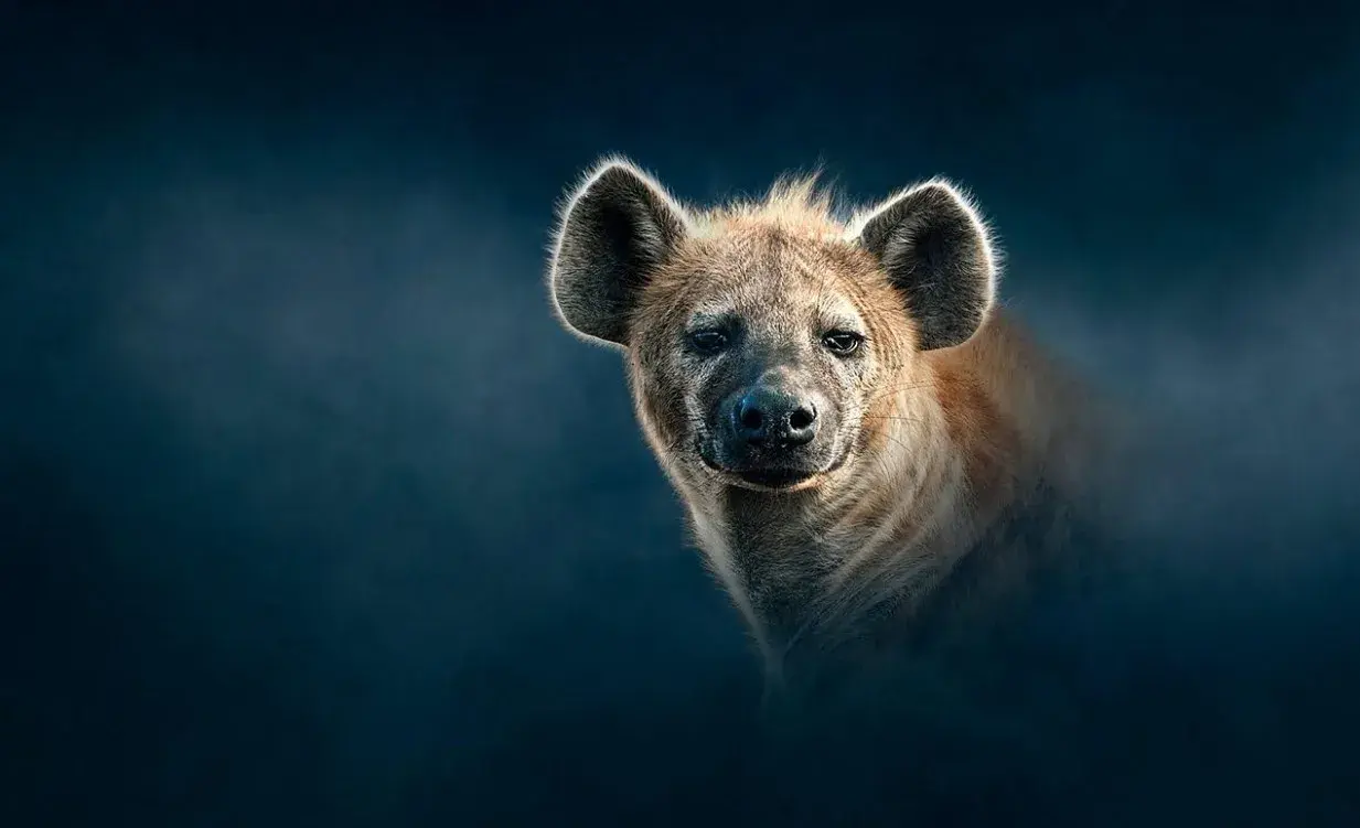 مستند سلسه ها 2 (Dynasties II 2022)