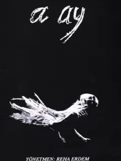 اوه ماه!