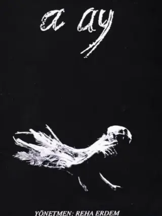 اوه ماه!