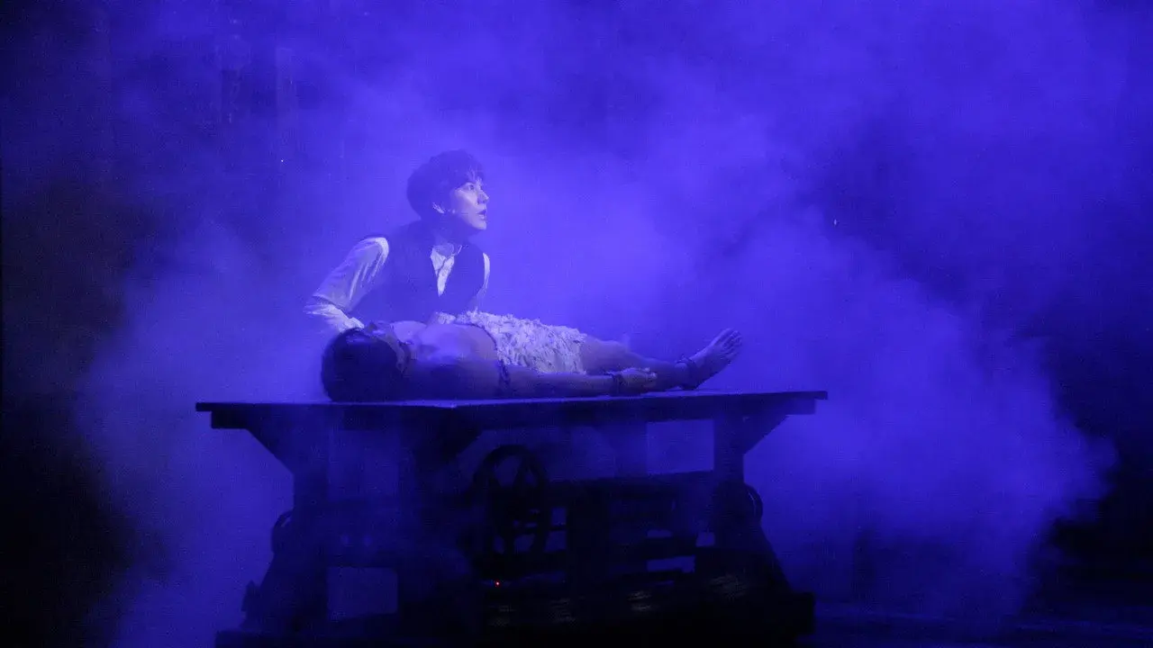 فیلم کره ای فرانکنشتاین: اجرای زنده موزیکال (Frankenstein : The Musical Live 2025)