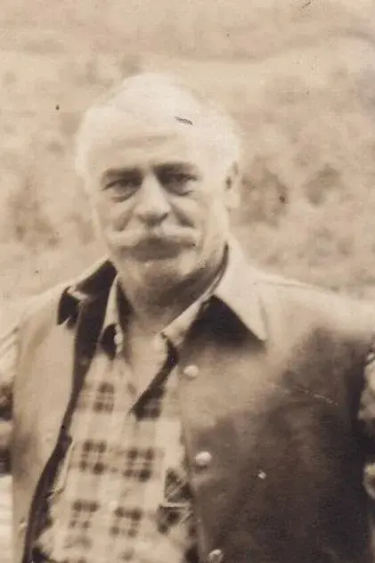 محمود تهرانی