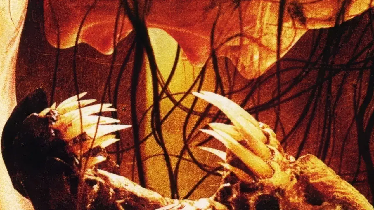 فیلم جشن (Feast 2005)