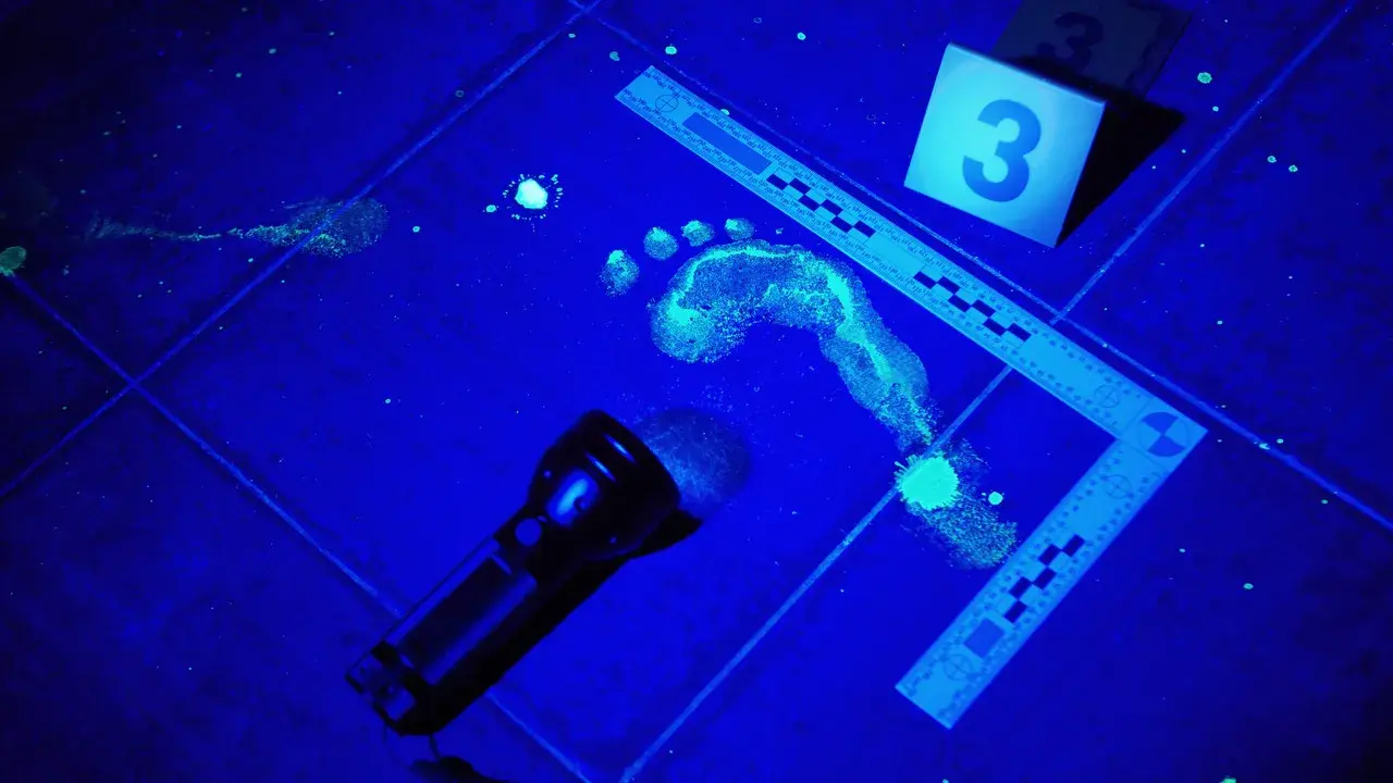 مستند پرونده های پزشکی قانونی (Forensic Files 1996)