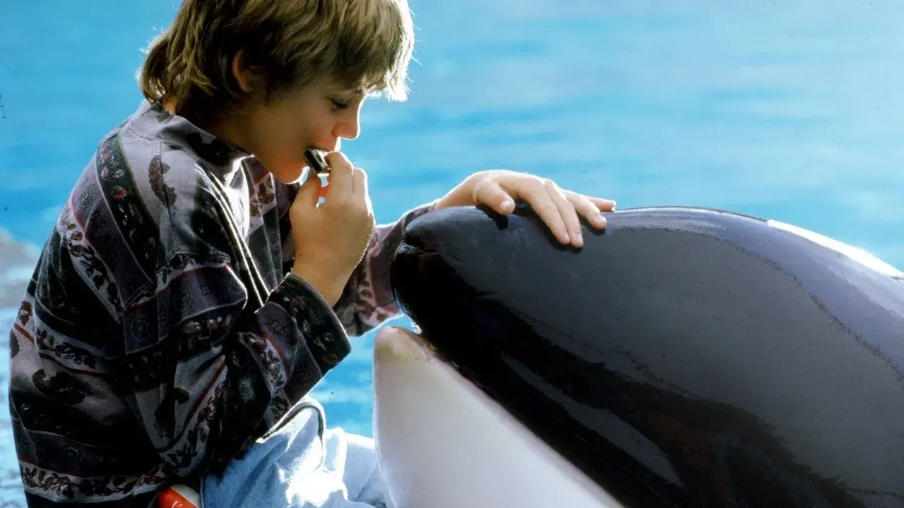 فیلم نهنگ آزاد (Free Willy 1993)
