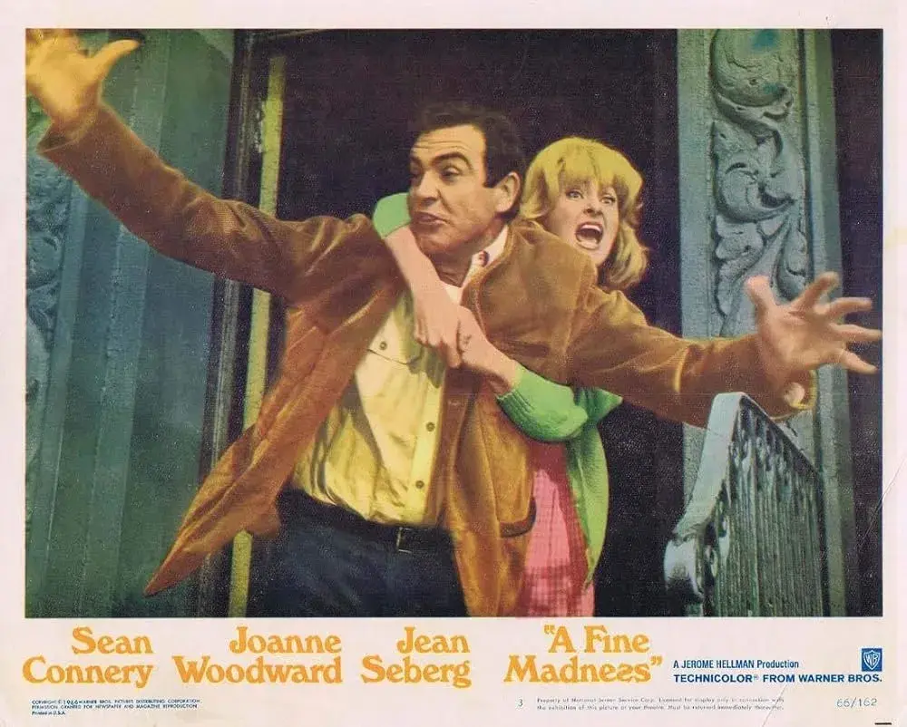 فیلم یک دیوانگی خوب (A Fine Madness 1966)