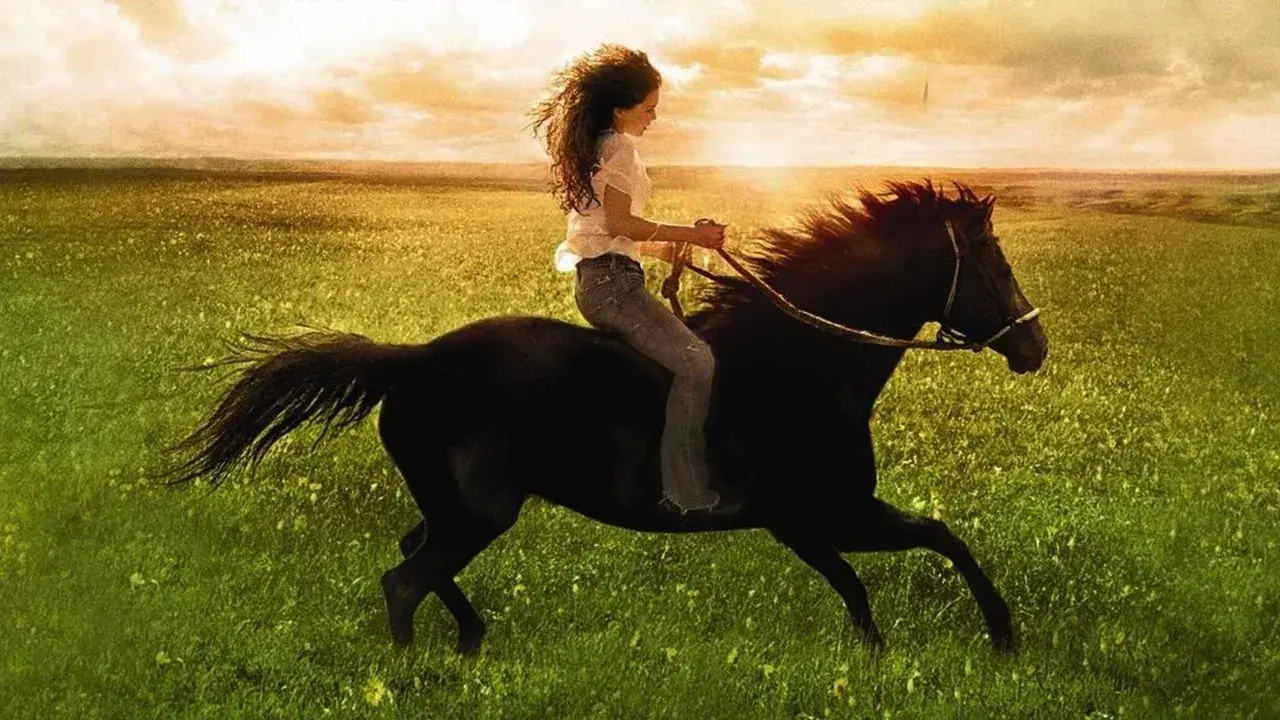 فیلم فلیکا (Flicka 2006+)