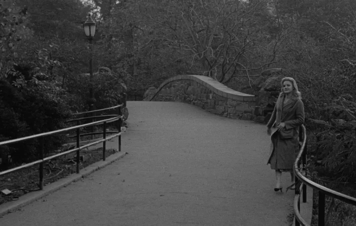 فیلم چیزی وحشی (Something Wild 1961)