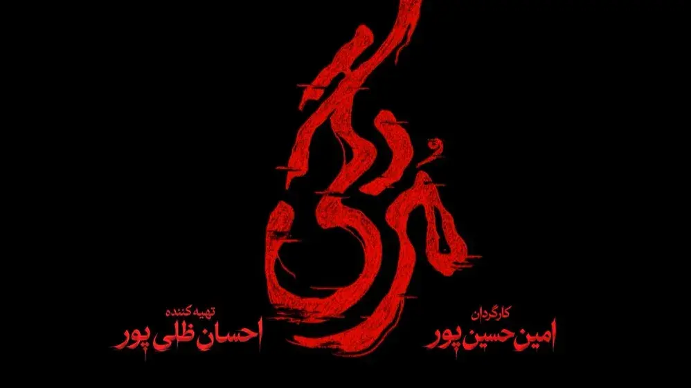 بازگشت طناز طباطبایی با «مردگی»؛ جزئیات پروژه جدید کارگردان «بازنده» 
