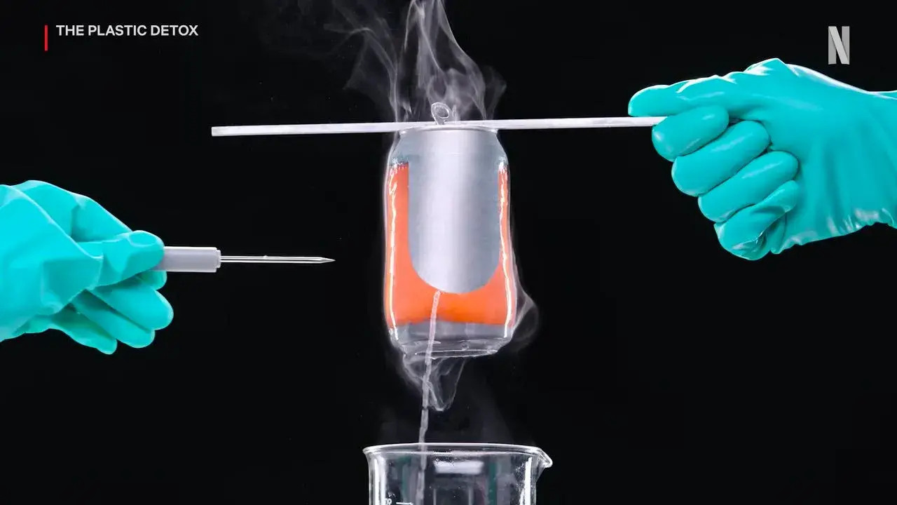مستند سم زدایی پلاستیک (The Plastic Detox 2026)