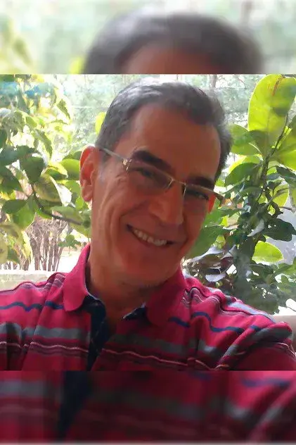 سیفی تیمور