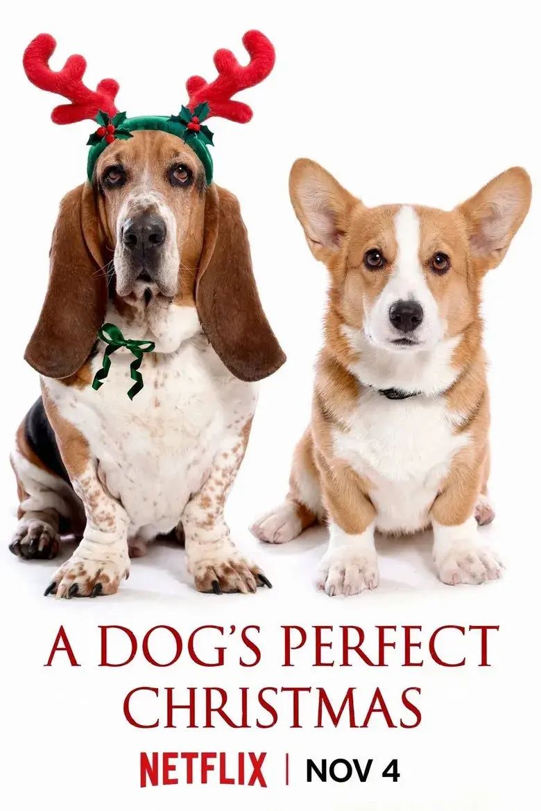 فیلم کریسمس رویایی یک سگ (A Dog's Perfect Christmas 2026)