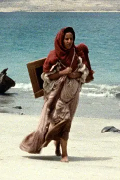 جزایر خوشبختی 2026