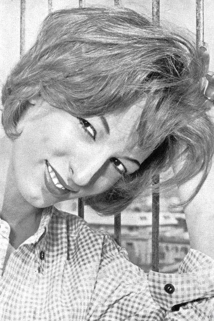 آدلاید آسته
