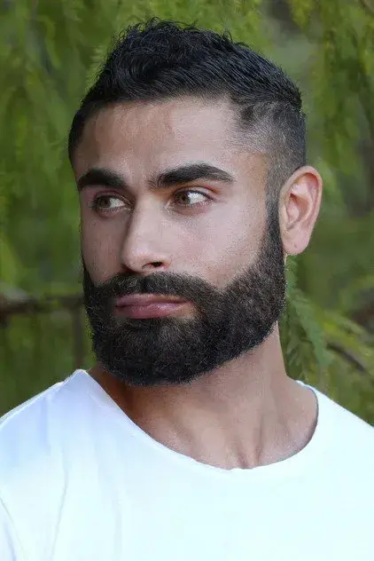 برد سوانیک